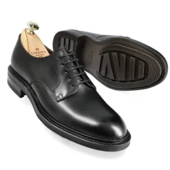 Plain Toe Blucher / Ptb|Carmina DERBY SHOES 80927 CALVIA BLACK