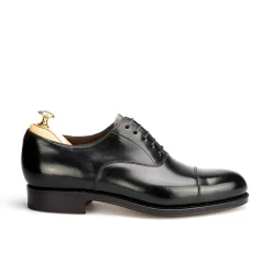 Cordovan Oxfords Shoes|Carmina CORDOVAN OXFORDS 732 FOREST