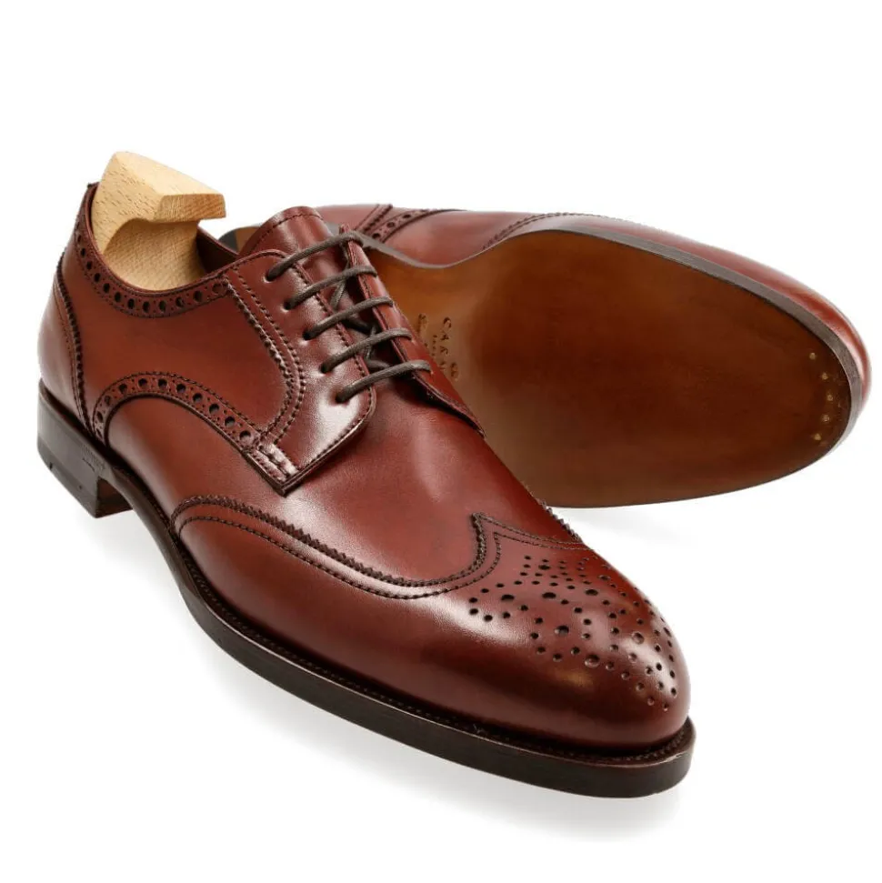 Wingtip Derby|Carmina DERBY SHOES 80659 TIMS BURGUNDY