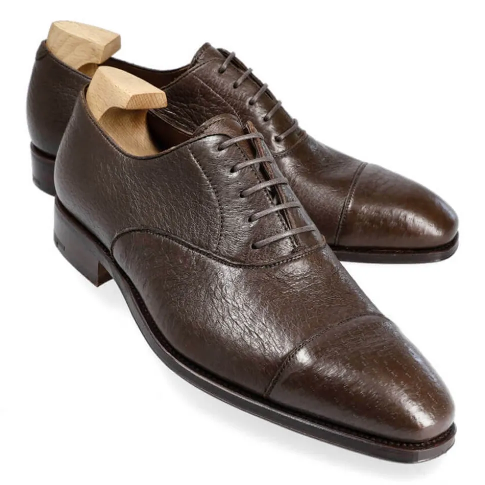 Peccary Shoes|Cap Toe Oxfords|Carmina PECCARY OXFORDS 80386 RAIN BROWN